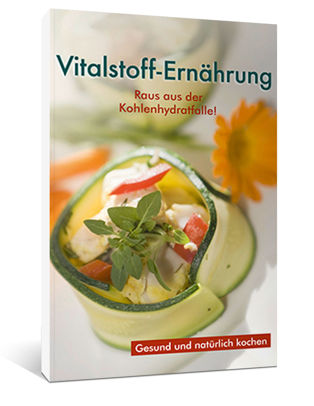Kochbuch Vitalstoff-Ernährung