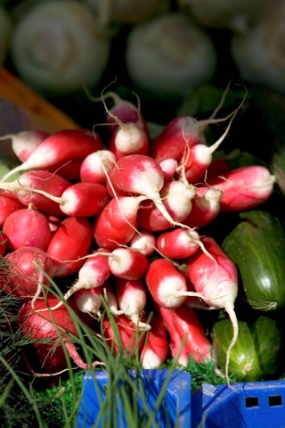 Frische Radieschen